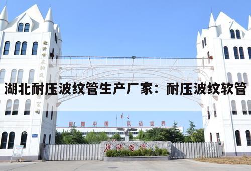 湖北耐壓波紋管生產(chǎn)廠家：耐壓波紋軟管