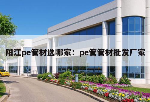 陽(yáng)江pe管材選哪家：pe管管材批發(fā)廠(chǎng)家