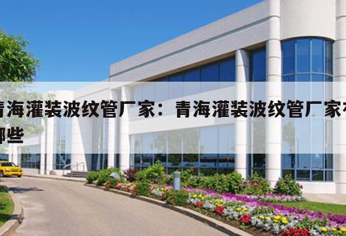 青海灌裝波紋管廠家：青海灌裝波紋管廠家有哪些