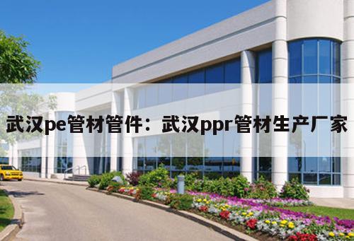 武漢pe管材管件：武漢ppr管材生產(chǎn)廠家