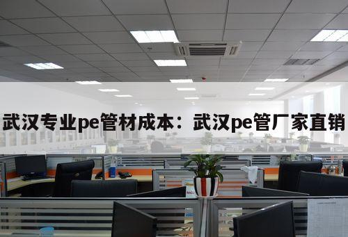 武漢專(zhuān)業(yè)pe管材成本：武漢pe管廠家直銷(xiāo)