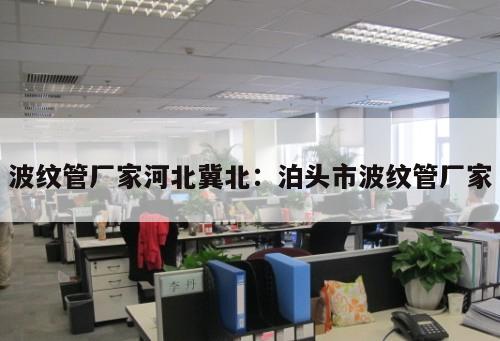 波紋管廠家河北冀北：泊頭市波紋管廠家